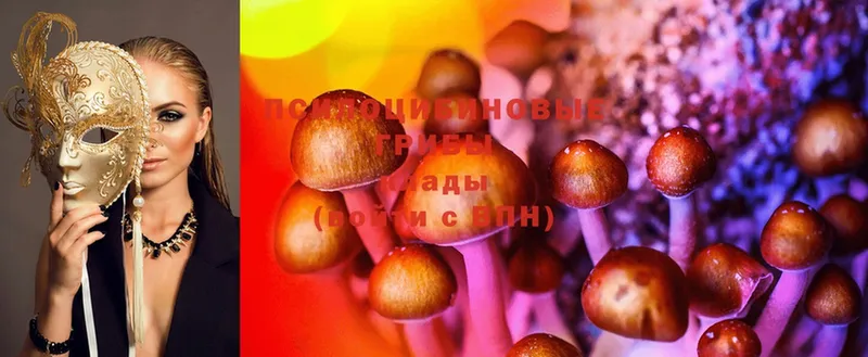 Псилоцибиновые грибы Psilocybine cubensis  цена   Балей 